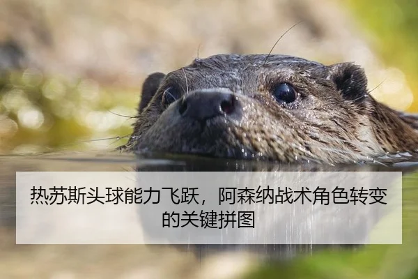 热苏斯头球能力飞跃，阿森纳战术角色转变的关键拼图
