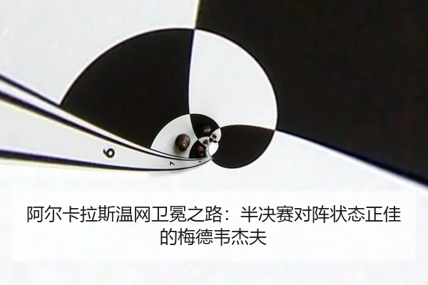 a-er-ka-la-si-wen-wang-wei-mian-zhi-lu-ban-jue-sai-dui-zhen-zhuang-tai-zheng-jia-de-mei-de-wei-jie-fu-2-683.jpg